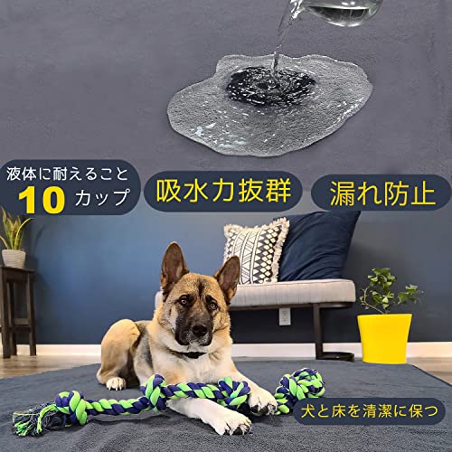 ペットマット 2