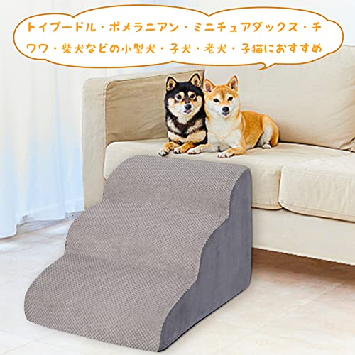 ドッグステップ 6