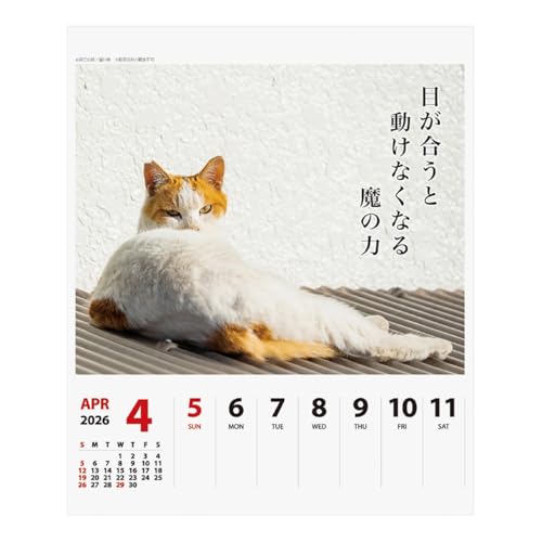 2026年カレンダー 猫川柳 5