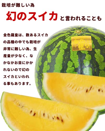 すいか 金色羅皇 4