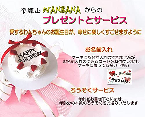 馬肉生地ミニお誕生日ホールケーキ 3