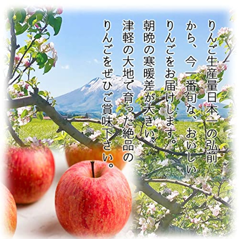 青森県産りんご サンふじ 3