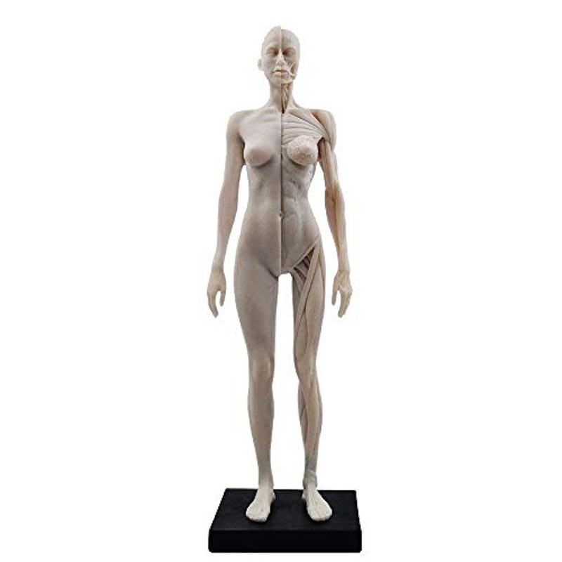 女性 人体モデル 1