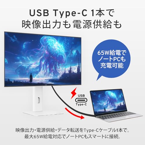 PX277 OLEDMAX V2 5