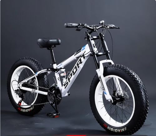 ファットタイヤ自転車 1