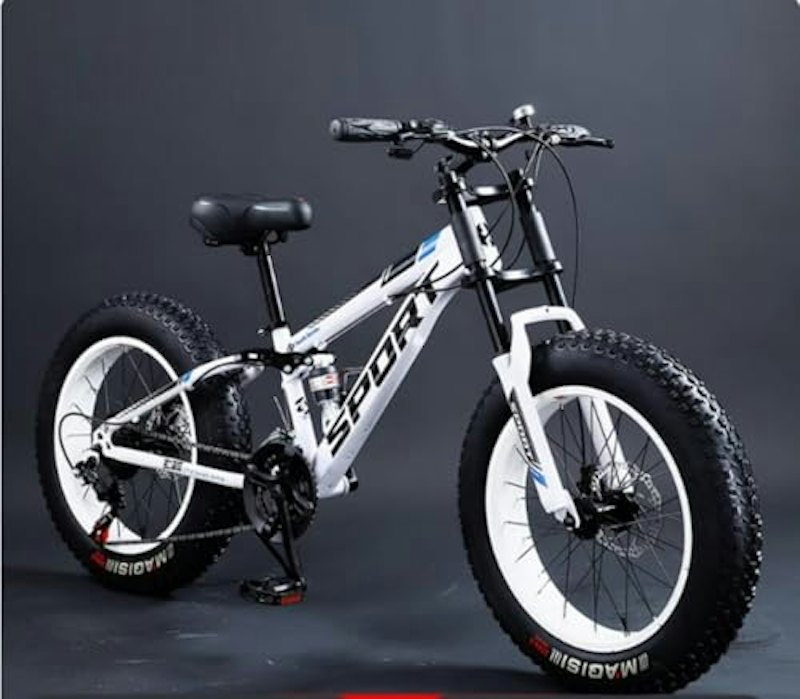 ファットタイヤ自転車 1
