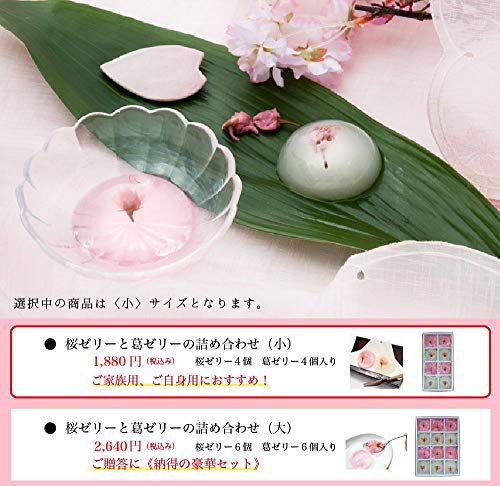 創味菓庵 桜だより 3