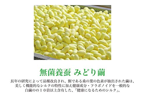 COCONICAL 全身シャンプー 3