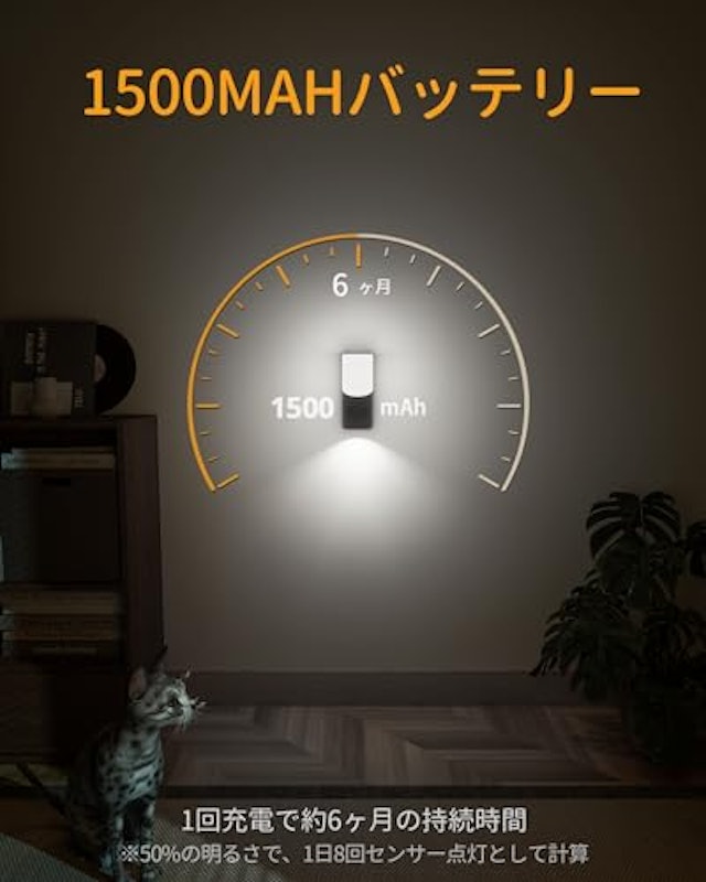 センサーライト 4