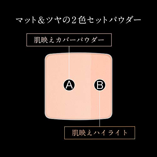 3Dリメイクプレストパウダー 5