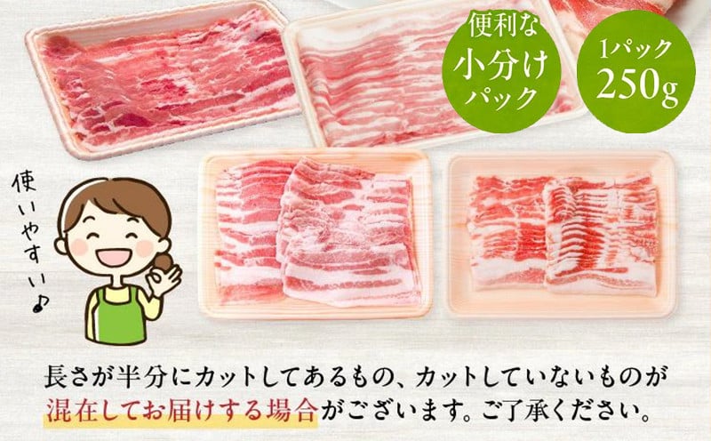 鹿児島県産豚バラスライス 1.5kg 4