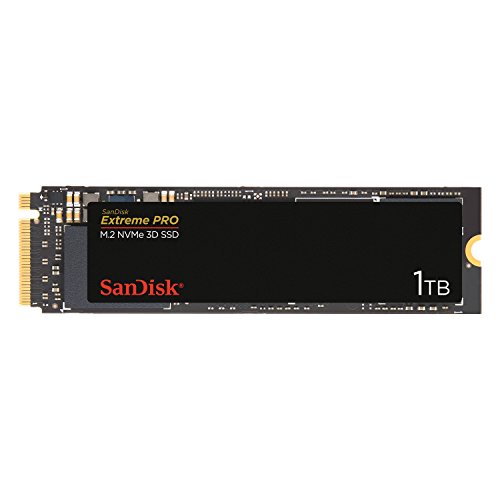 エクストリーム プロ M.2 NVMe 3D ソリッド ステート ドライブ 1