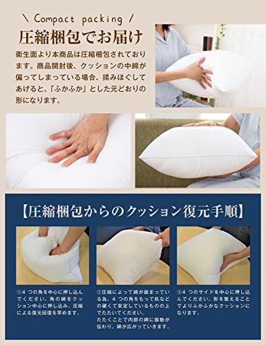 ヌードクッション  3