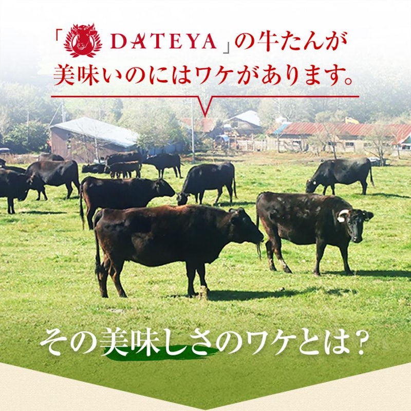 厚切り牛タン 3