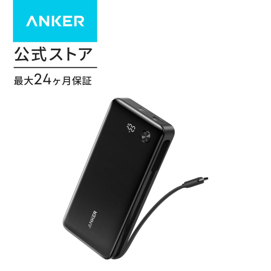 Power Bank 1