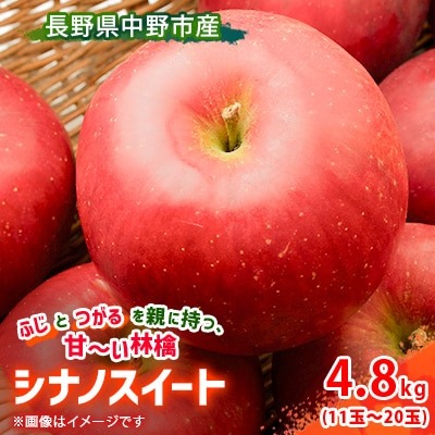 りんご シナノスイート 1