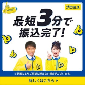 プロミスは借りるとやばい?レイク・アコム・アイフルとの違いは?金利からネット返済の方法まで徹底調査 1