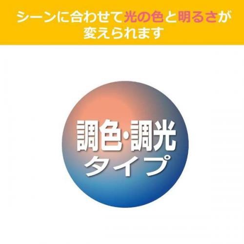 シーリングライト 3