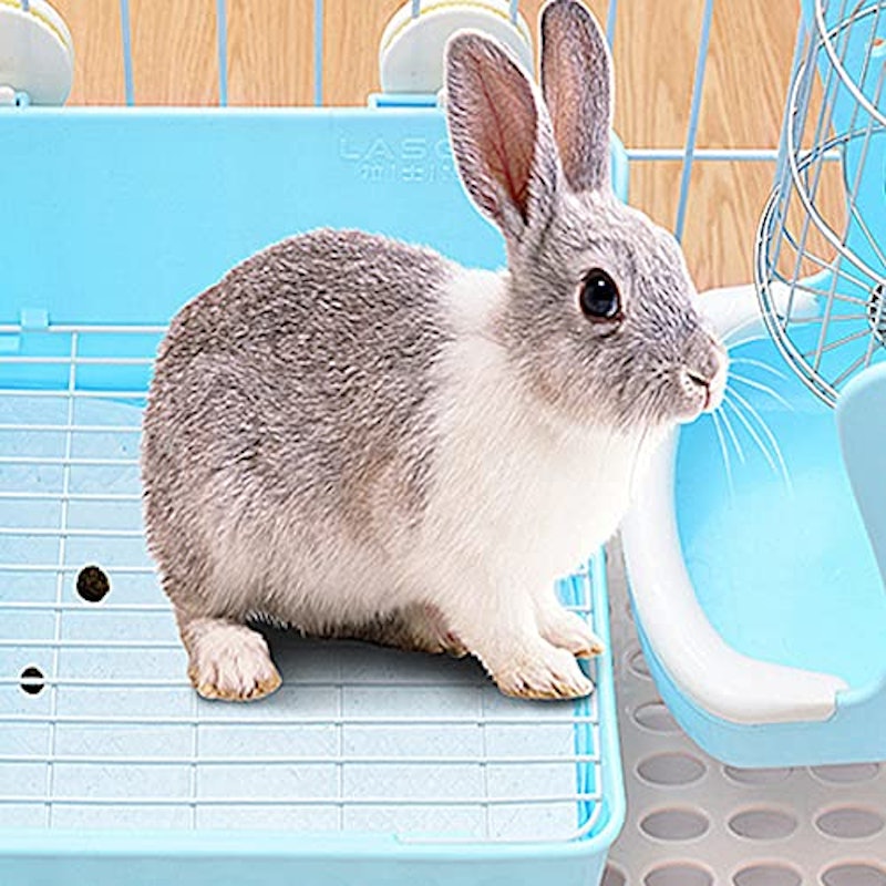 うさぎトイレ 8