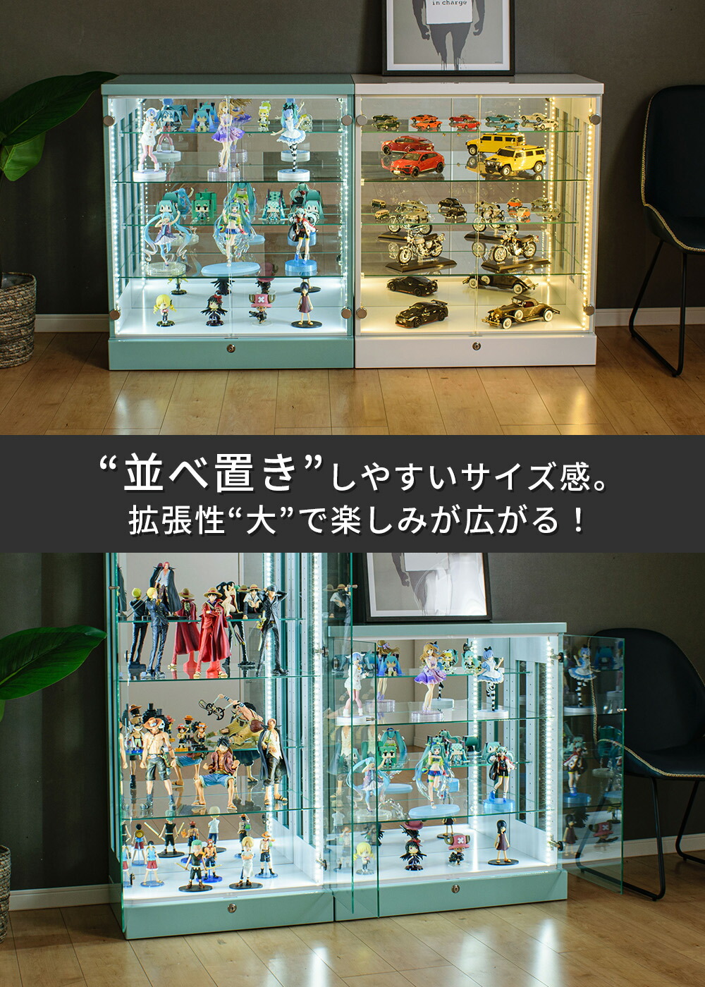 コレクションケース  5