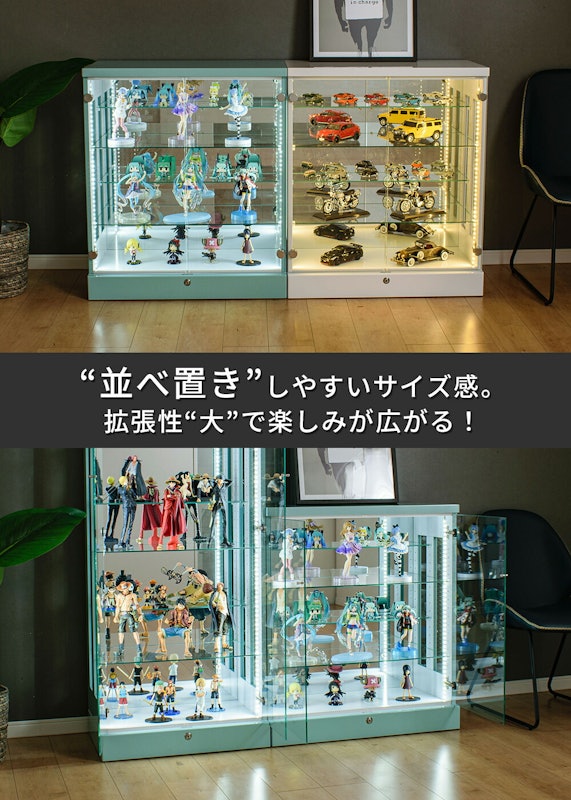 コレクションケース 5