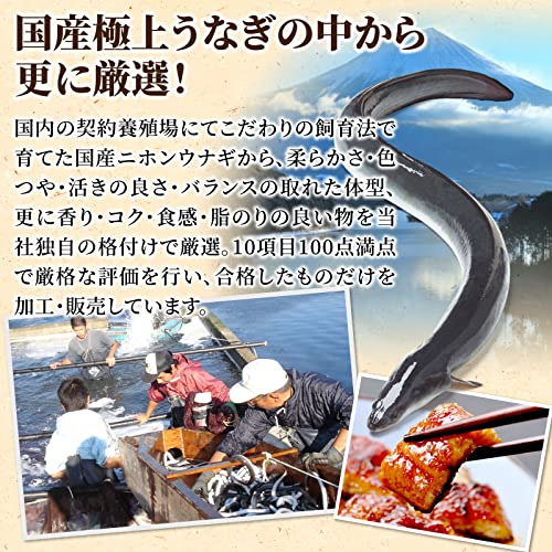 うなぎ 長蒲焼2尾セット 3