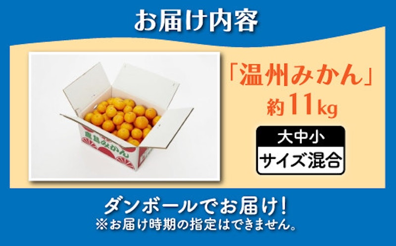 温州みかん 5