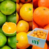 有田みかんのおすすめ人気ランキング【2026年9月】 5