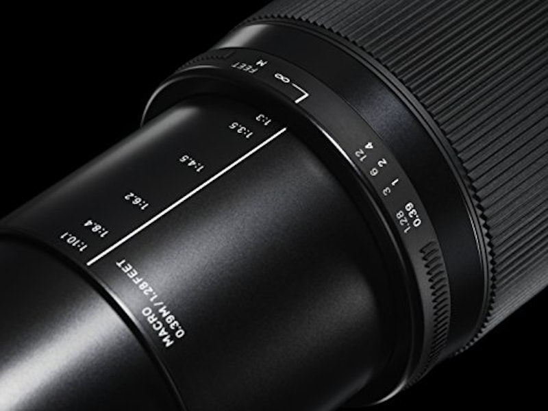 18-300mm F3.5-6.3 DC MACRO OS HSM | Contemporary 4