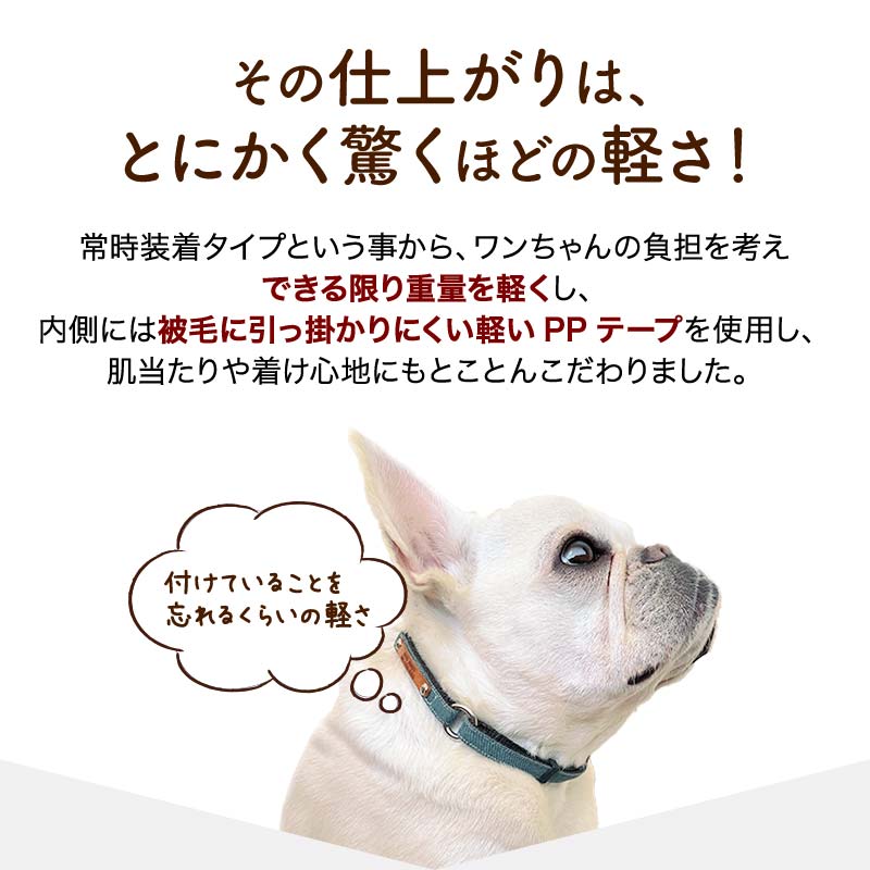 迷子札付きチョーカー 4