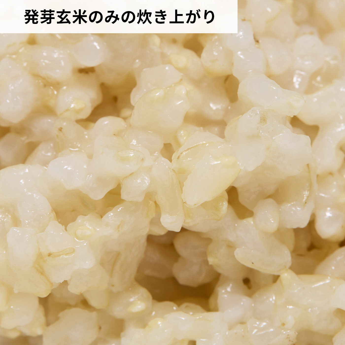 GABA入り発芽玄米 無洗米 6