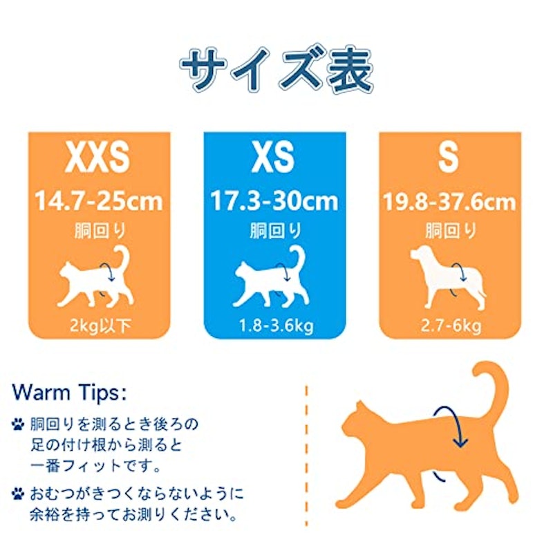 猫用おむつパンツ 6