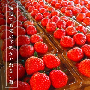 空浮いちご 2