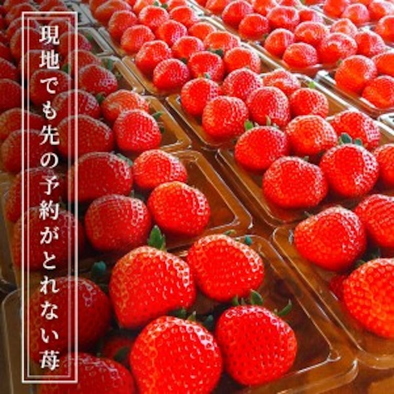 空浮いちご 2