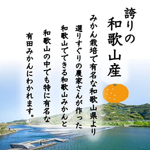 みかん YN26〜極早生 3