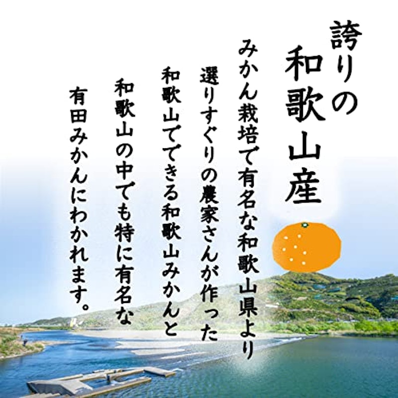 みかん YN26〜極早生 3