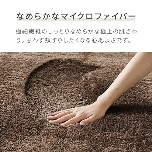 シャギーラグ 3