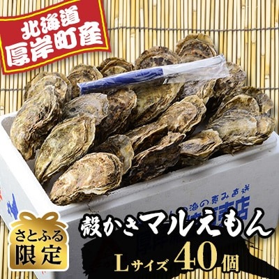 厚岸産マルえもんLサイズ 1