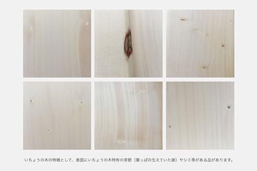 いちょうの木のまな板 1大 3