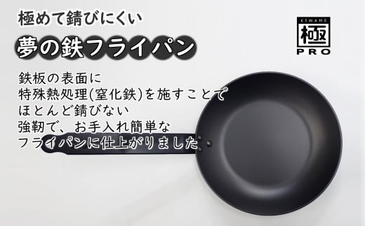 リバーライト KIWAME PRO フライパン20cm  2