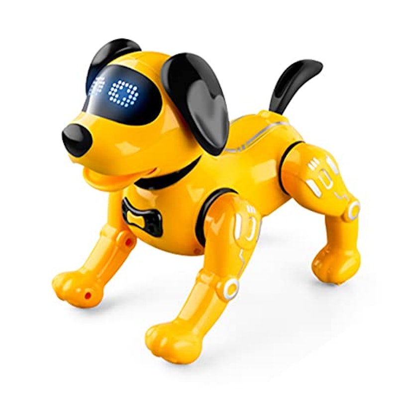 リモートコントロールロボット 1