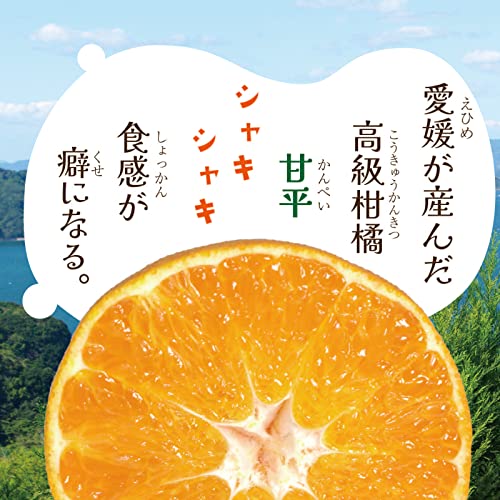 甘平 3