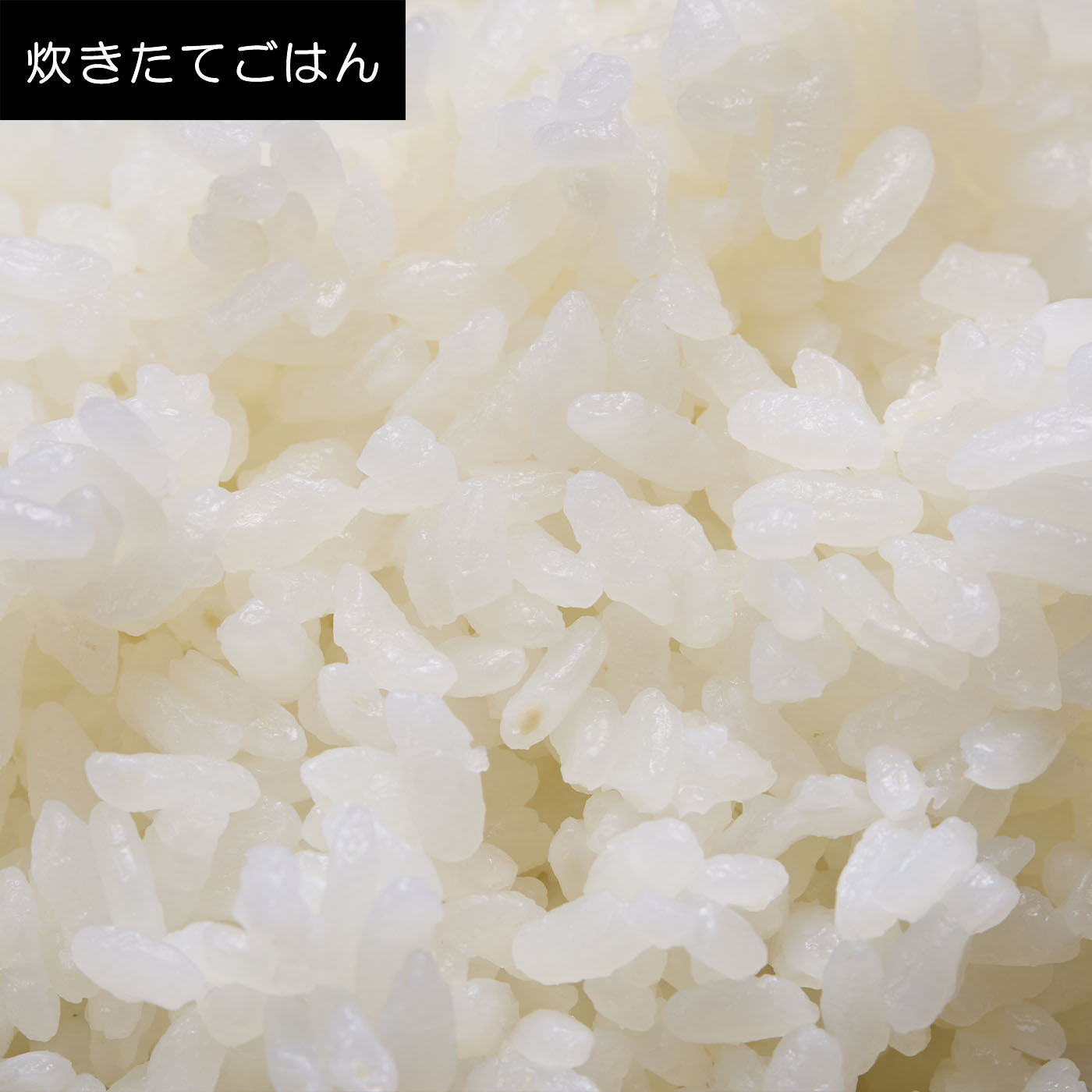 炊飯器 9
