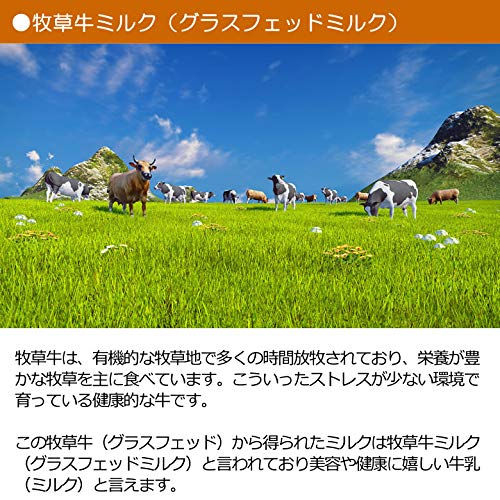 レインフォレストハーブ ホワイトチョコチップ 5