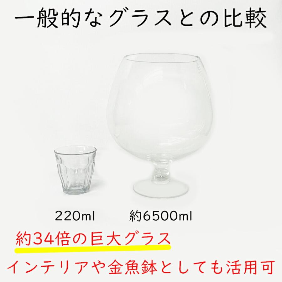  ラージブランデーグラス 2