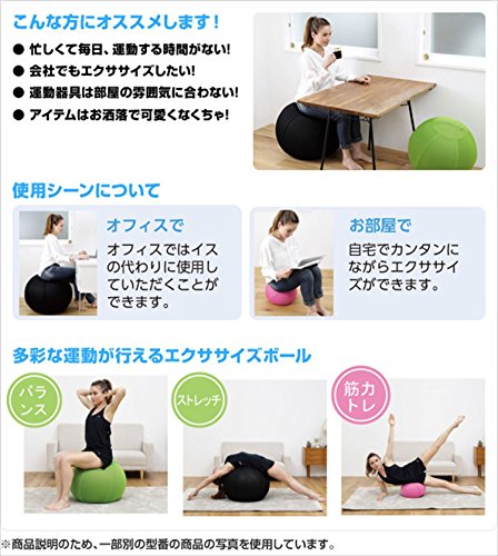 エクササイズボールカバー 55cm用 4