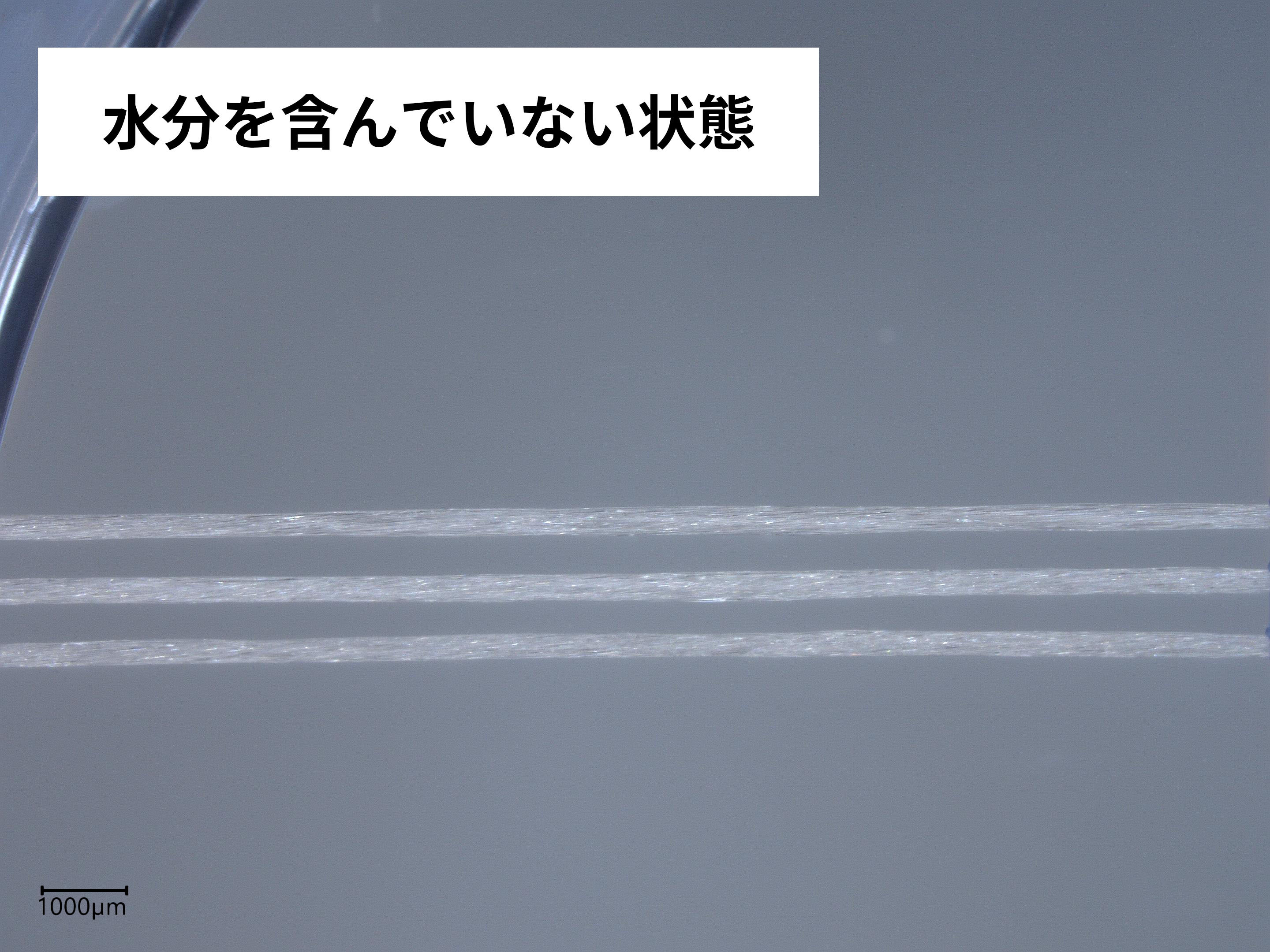 フロス&スティック 3