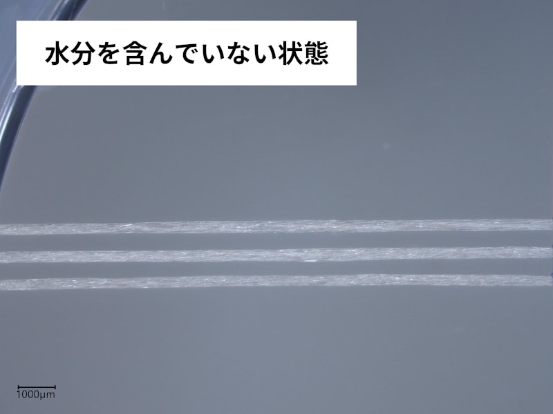 フロス&スティック 3