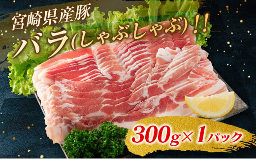 豚肉5種 お楽しみセット 3