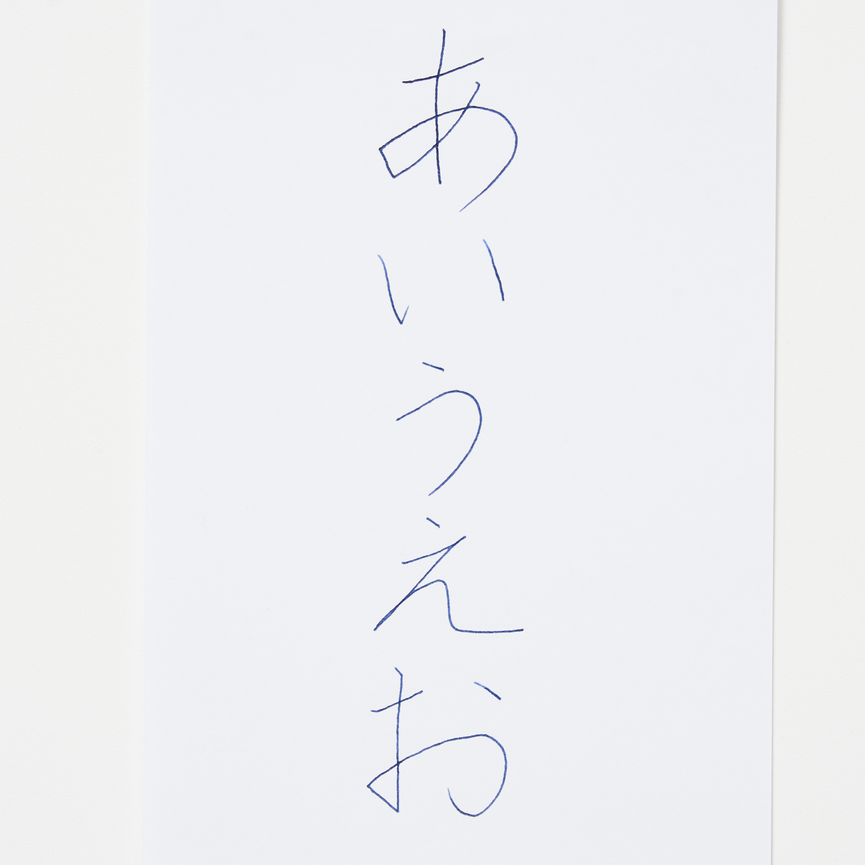 モール キウイ 銀雲母 5